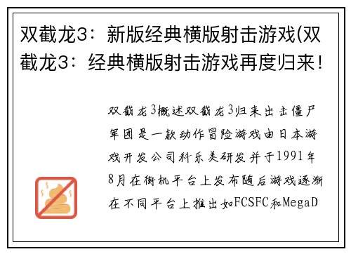 双截龙3：新版经典横版射击游戏(双截龙3：经典横版射击游戏再度归来！)